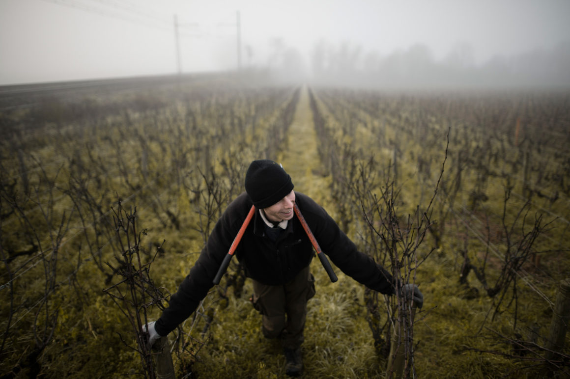 Méo Camuzet Vin wine grand cru Bourgogne France