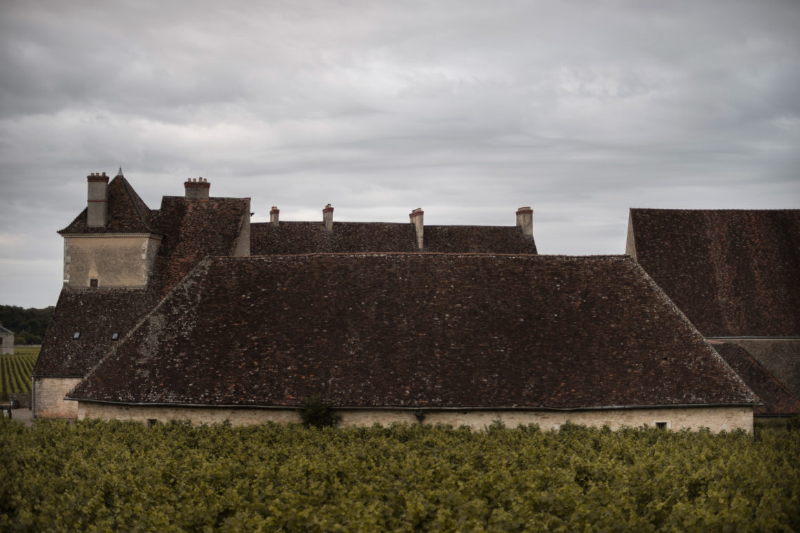 Méo Camuzet Vin wine grand cru Bourgogne France