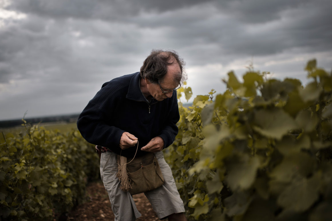 Méo Camuzet Vin wine grand cru Bourgogne France