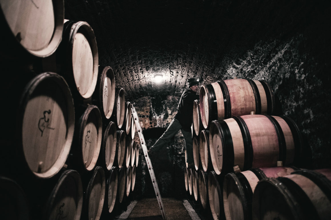 Méo Camuzet Vin wine grand cru Bourgogne France