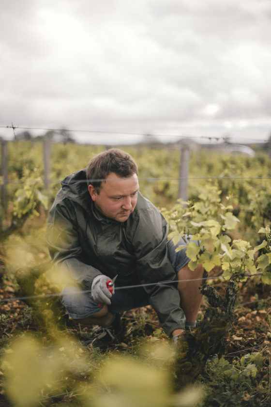 Méo Camuzet Vin wine grand cru Bourgogne France
