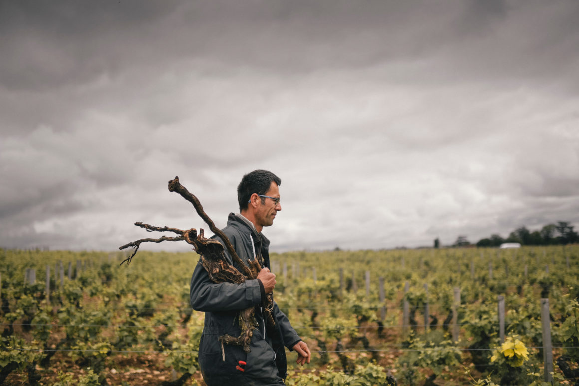 Méo Camuzet Vin wine grand cru Bourgogne France