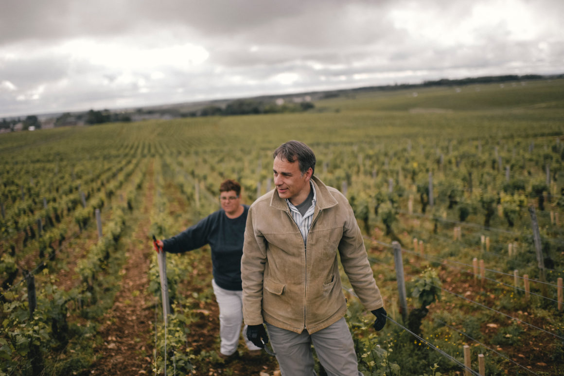 Méo Camuzet Vin wine grand cru Bourgogne France