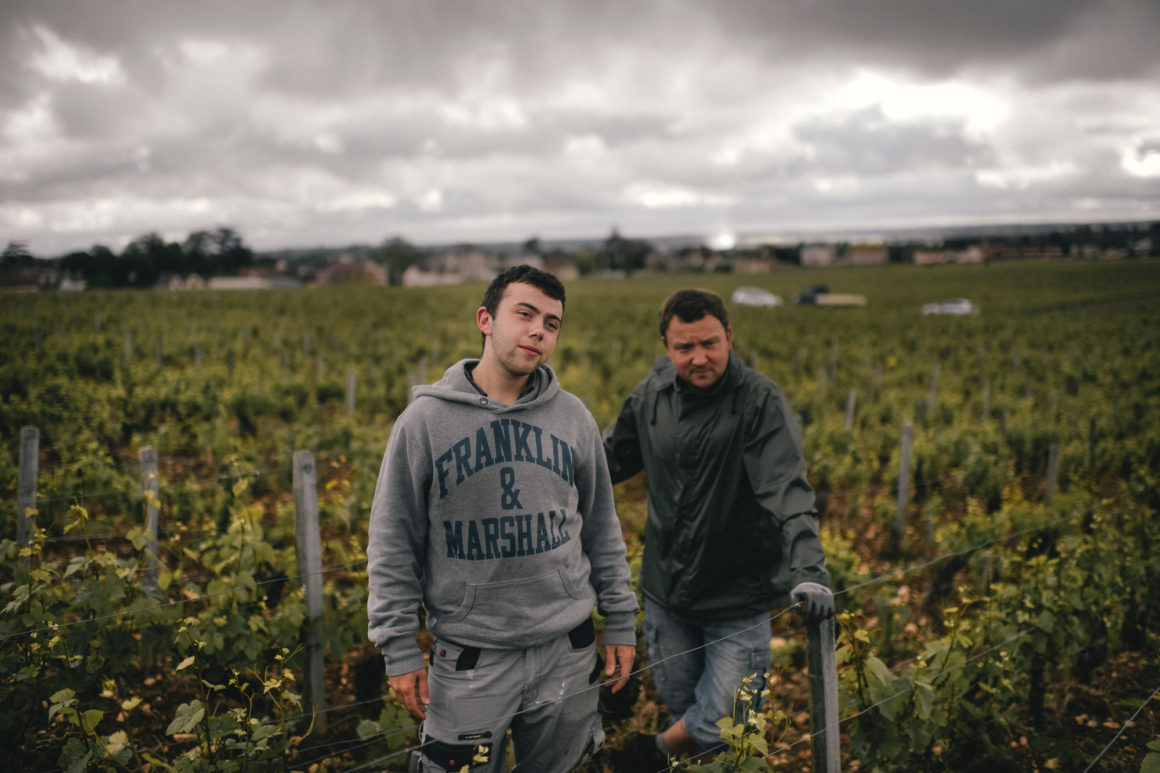 Méo Camuzet Vin wine grand cru Bourgogne France