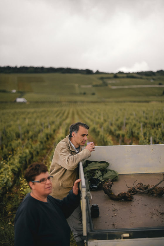 Méo Camuzet Vin wine grand cru Bourgogne France