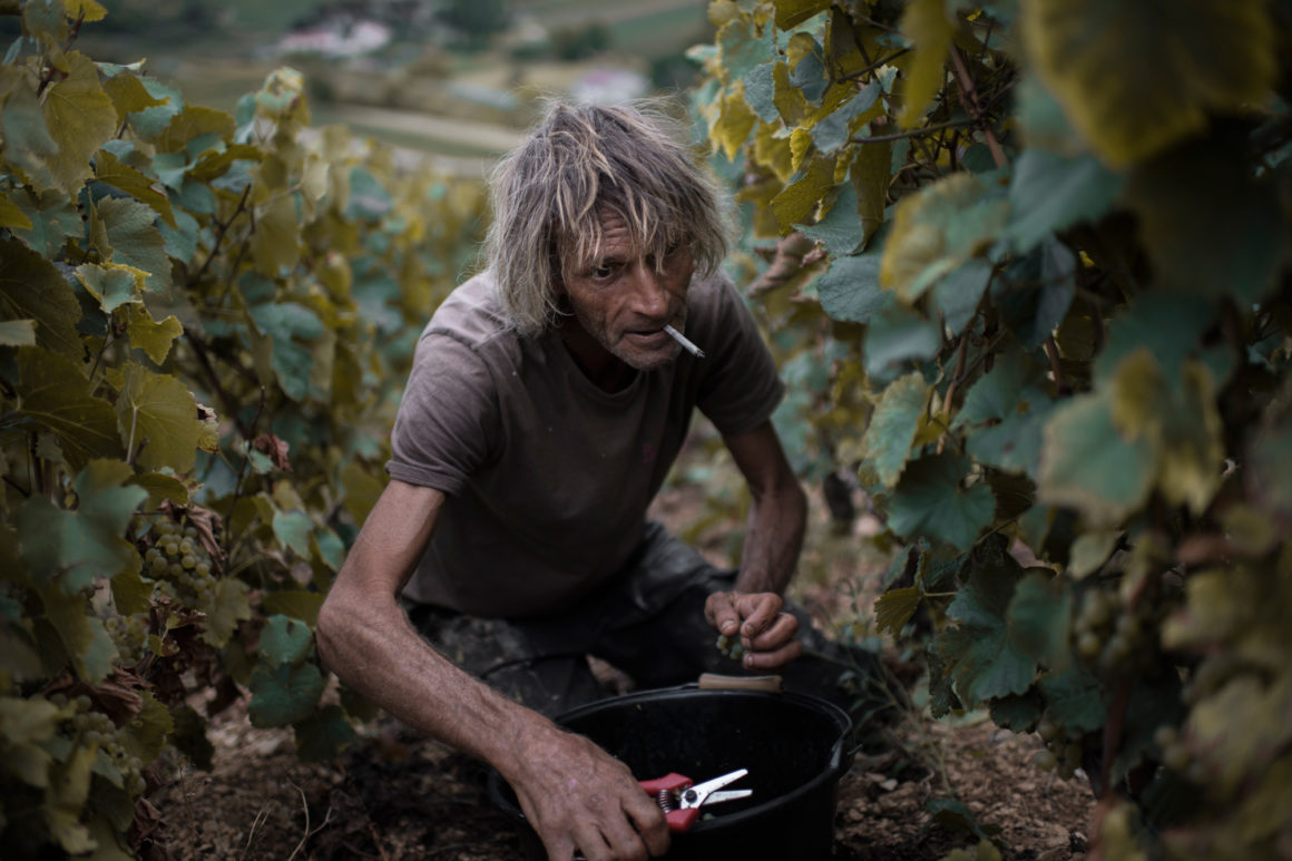 Vin wine bourgogne